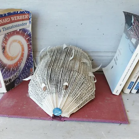 Petit Chemin Des Flouries Apartment Gaillac